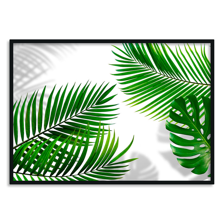 Tropical Leaves